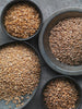 A Guide To Ancient Wheat